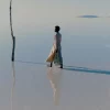 Édition Solé Écume de mer